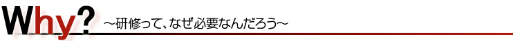 why?`ŌCĕKvȂ񂾂낤H` 